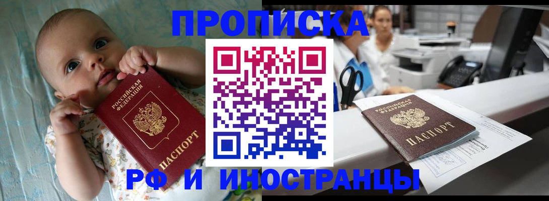 прописка поиск в Мамадыше